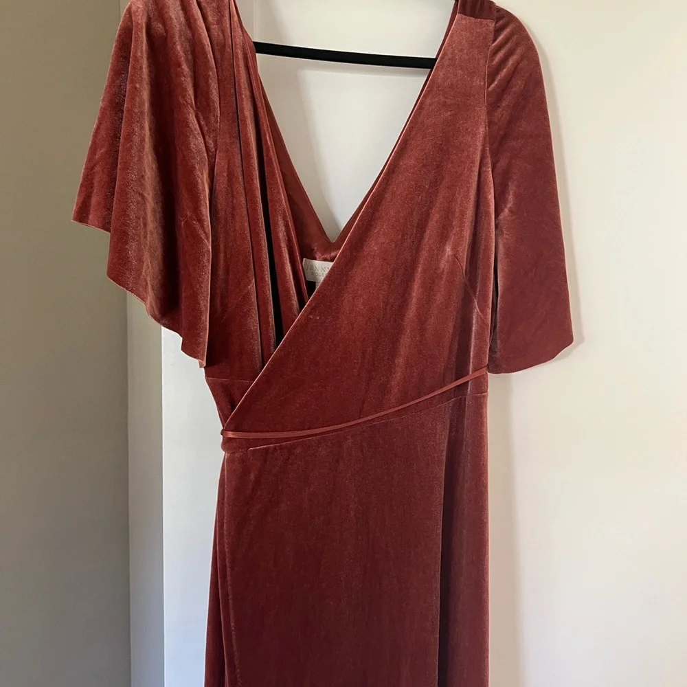 Jenny Yoo Marin - English Rose Velvet Dress - Picture 1 of 3